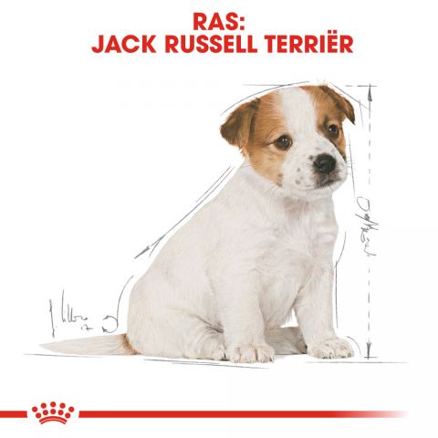 Royal Canin Jack Russell Terrier Junior - Hondenvoer - 1,5 kg