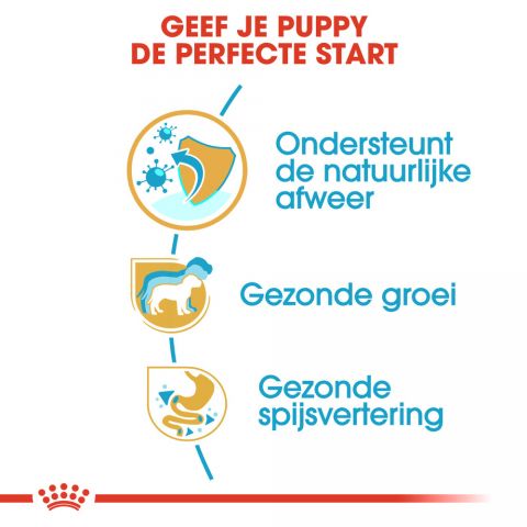 Royal Canin Jack Russell Terrier Junior - Hondenvoer - 3 kg