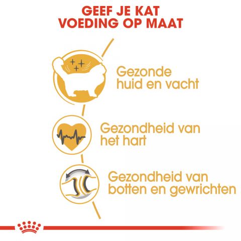 Royal Canin Ragdoll Adult - Kattenvoer - 2 kg