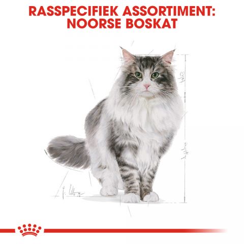Royal Canin Noorse Boskat Adult - Kattenvoer - 2 kg