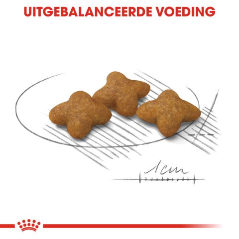 Royal Canin X-Small Sterilised - Hondenvoer - 1,5 kg