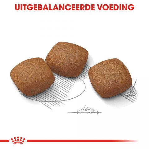 Royal Canin Maxi Joint Care - Hondenvoer - 3 kg