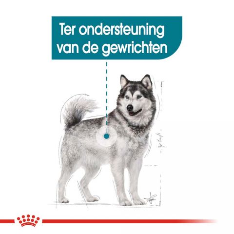 Royal Canin Maxi Joint Care - Hondenvoer - 3 kg