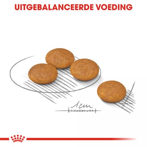 Royal Canin Dermacomfort Mini - Hondenvoer - 3 kg