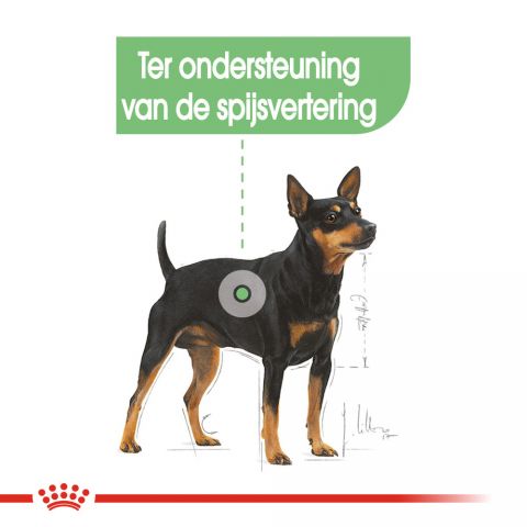Royal Canin Digestive Care Mini - Hondenvoer - 3 kg