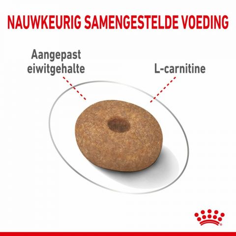 ROYAL CANIN Light Weight Mini - Hondenvoer - 3 kg