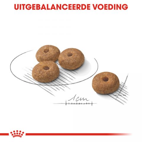 Royal Canin Sterilised Mini - Hondenvoer - 3 kg