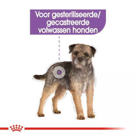 Royal Canin Sterilised Mini - Hondenvoer - 3 kg