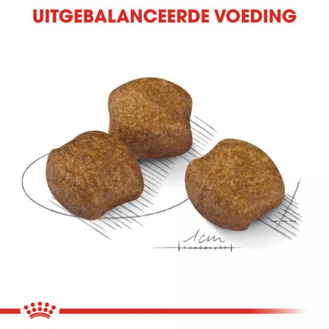 Royal Canin Dental Care Medium - Hondenvoer - 3 kg