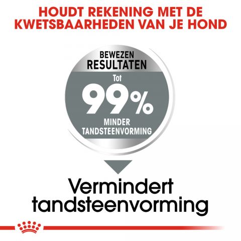 Royal Canin Dental Care Medium - Hondenvoer - 3 kg