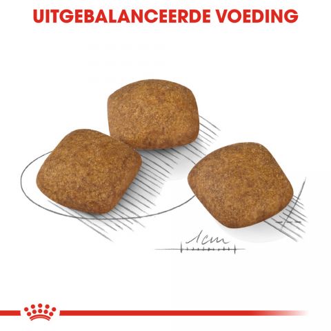 Royal Canin Relax Care Medium - Hondenvoer - 3 kg