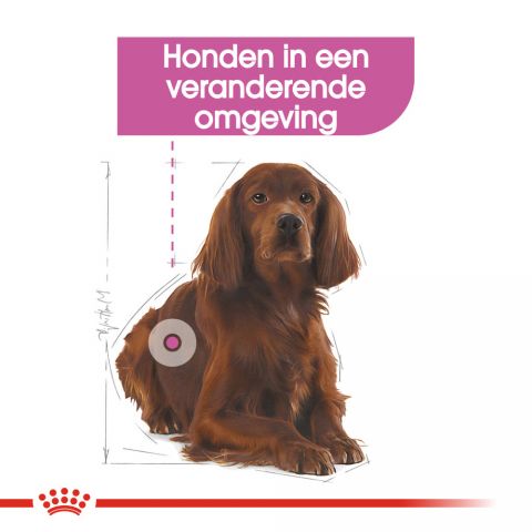 Royal Canin Relax Care Medium - Hondenvoer - 10 kg
