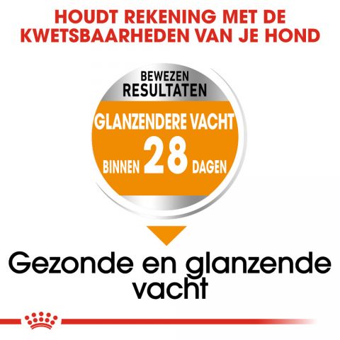 Royal Canin Coat Care Mini - Hondenvoer - 3 kg