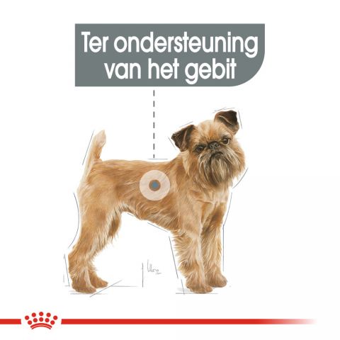 Royal Canin Dental Care Mini - Hondenvoer - 3 kg