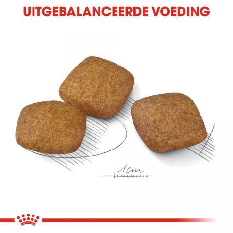 Royal Canin Relax Care Maxi - Hondenvoer - 9 kg