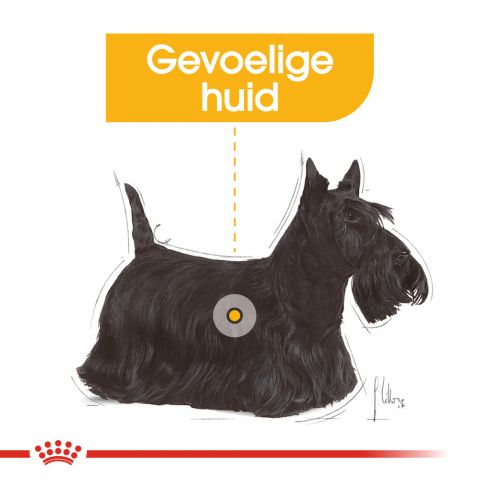 Royal Canin Dermacomfort Mini - Hondenvoer - 8 kg