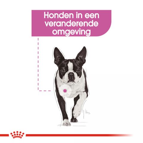 Royal Canin Relax Care Mini - Hondenvoer - 8 kg