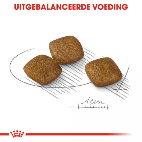 Royal Canin Relax Care Mini - Hondenvoer - 3 kg