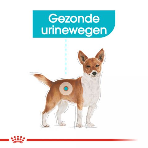 Royal Canin Urinary Care Mini - Hondenvoer - 1 kg