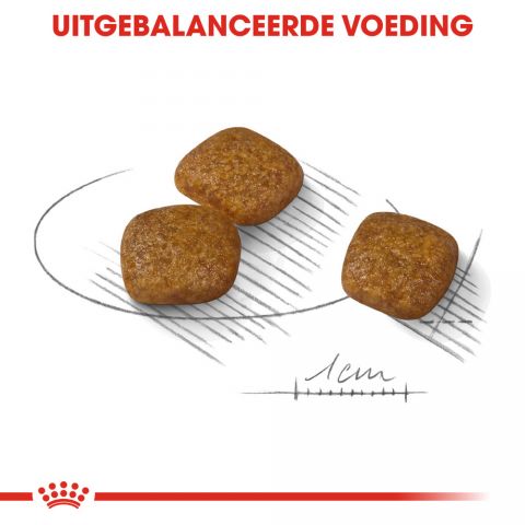 Royal Canin Urinary Care Mini - Hondenvoer - 3 kg