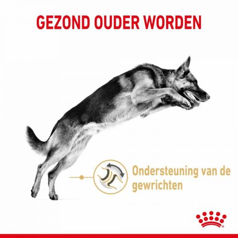 ROYAL CANIN® Adult 5+ Duitse Herder  - Hondenvoer - 12 kg