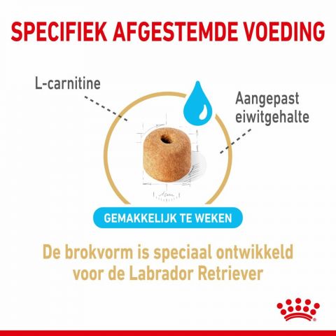 ROYAL CANIN® Adult 5+ Labrador Retriever  - Hondenvoer - 3 kg