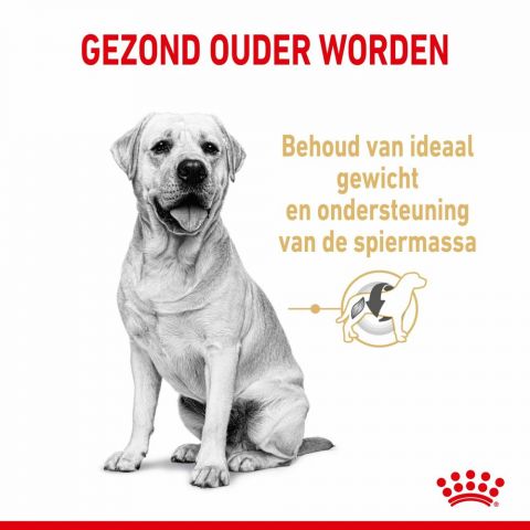 ROYAL CANIN® Adult 5+ Labrador Retriever  - Hondenvoer - 12 kg