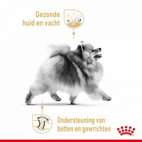 Royal Canin Pomeriaan Adult - Hondenvoer - 3 kg