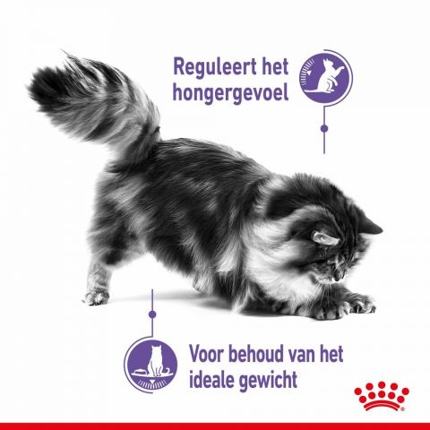 Royal Canin Appetite Control Care - Kattenvoer - 2 kg