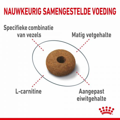 Royal Canin Appetite Control Care - Kattenvoer - 3,5 kg