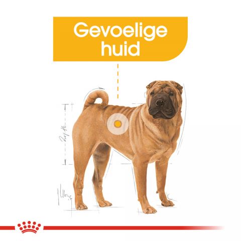 Royal Canin Dermacomfort Medium Adult - Hondenvoer - 12 kg