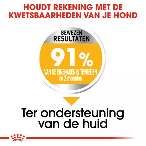 Royal Canin Dermacomfort Medium Adult - Hondenvoer - 12 kg