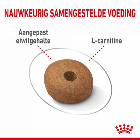 Royal Canin Light Weight Care Medium Adult - Hondenvoer - 12 kg