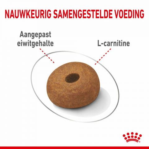 Royal Canin Light Weight Care Maxi Adult - Hondenvoer - 12 kg