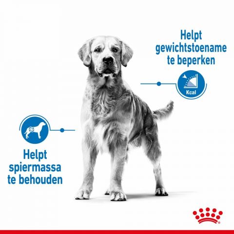Royal Canin Light Weight Care Maxi Adult - Hondenvoer - 12 kg