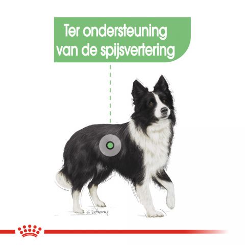 Royal Canin Digestive Care Medium Adult - Hondenvoer - 12 kg