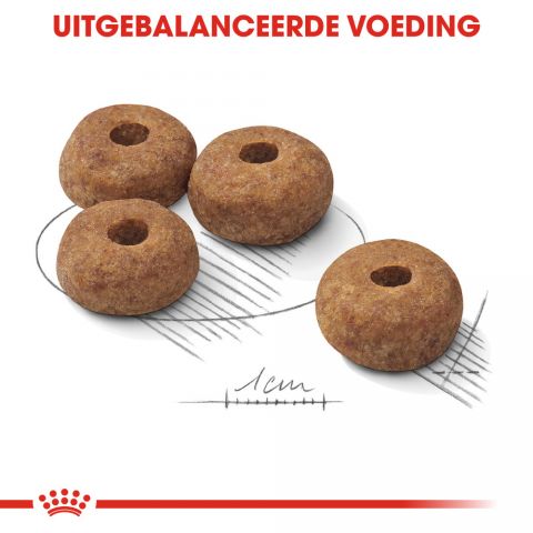 Royal Canin Sterilised Medium  Adult - Hondenvoer - 12 kg