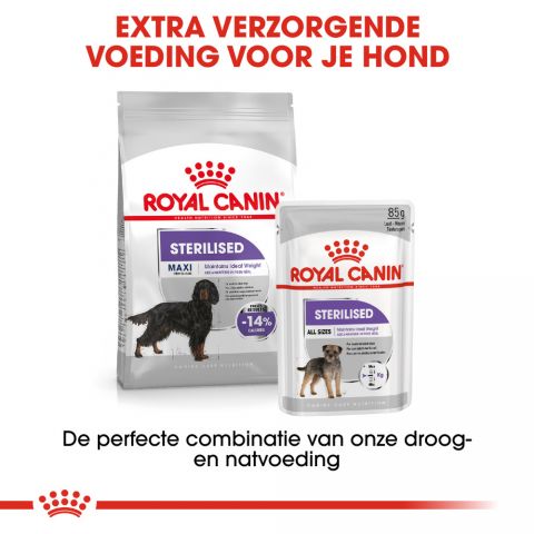 Royal Canin Sterilised Maxi  Adult - Hondenvoer - 12 kg