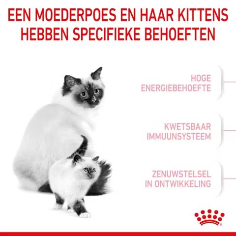 Royal Canin Mother & Babycat - Kattenvoer - Gevogelte