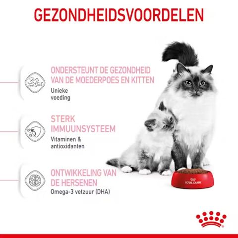 Royal Canin Mother & Babycat - Kattenvoer - Gevogelte