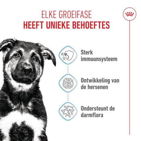 Royal Canin Maxi Puppy - Hondenvoer - 3 kg