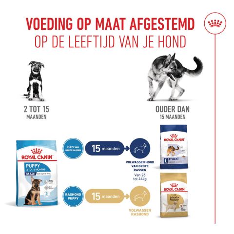 Royal Canin Maxi Puppy - Hondenvoer - 3 kg