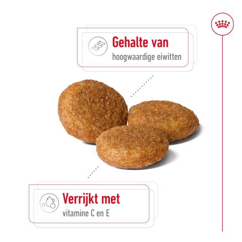 Royal Canin Medium Adult - Hondenvoer - 12 kg