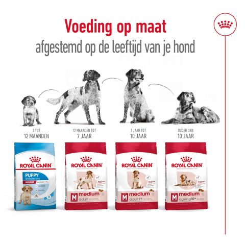 Royal Canin Medium Adult - Hondenvoer - 12 kg