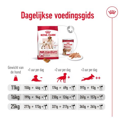 Royal Canin Medium Adult - Hondenvoer - 12 kg