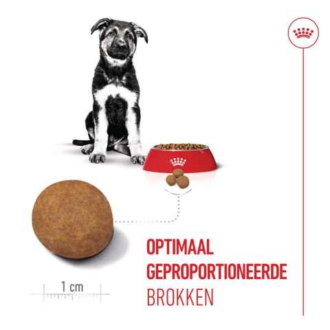 Royal Canin Maxi Puppy - Hondenvoer - 12 kg