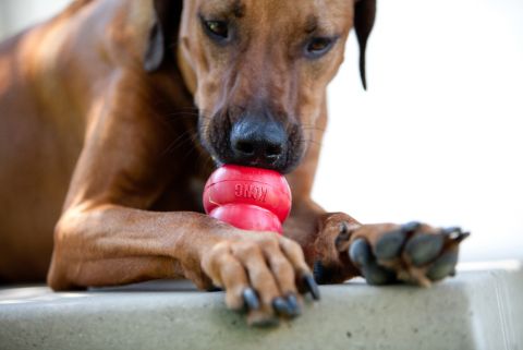 Kong Classic - Vulbaar Hondenspeelgoed - Rood - L - 10 cm