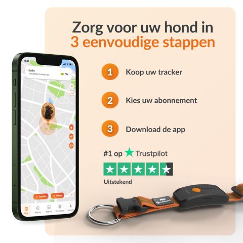 Weenect XT - Halsband met GPS tracker - Oranje