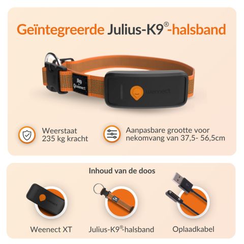 Weenect XT - Halsband met GPS tracker - Oranje