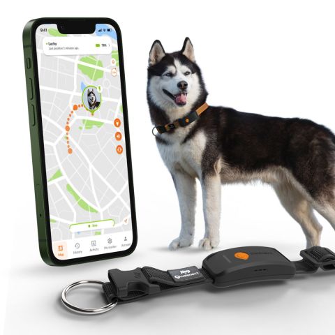 Weenect XT - Halsband met GPS tracker - Zwart